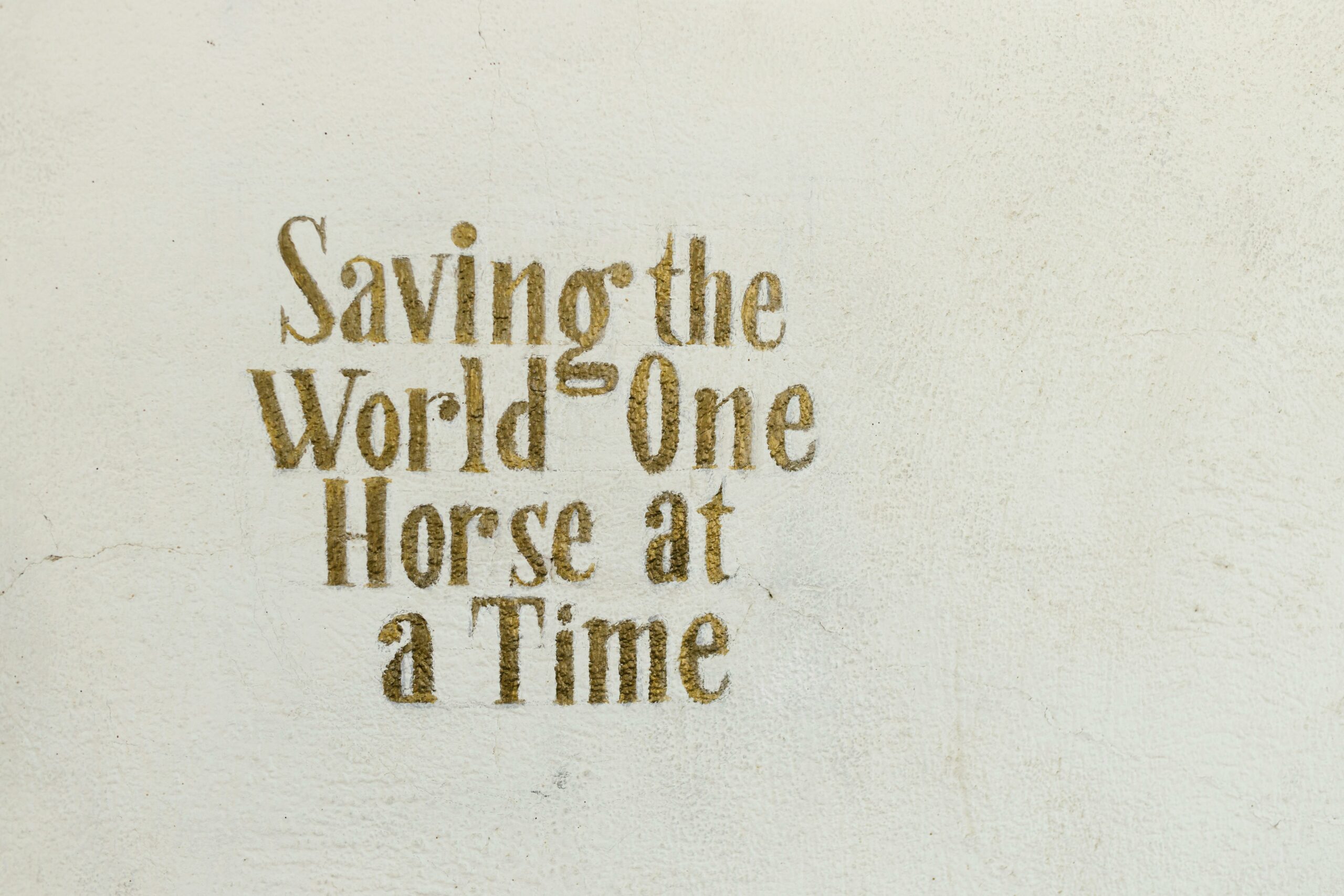 Text 'Saving the World One Horse at a Time' on a textured wall.